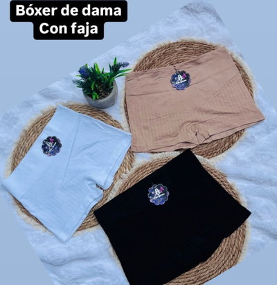 Docena de boxer de dama c/faja