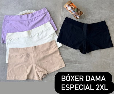 Docena de boxer dama especial