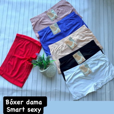 Docena de boxer de dama Smart sexy