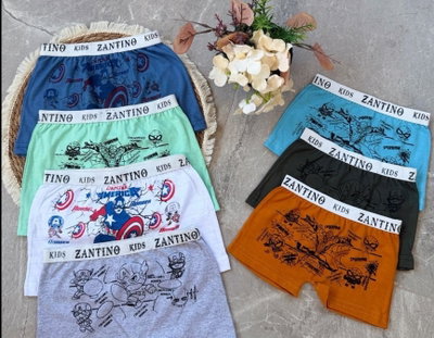 Docena de boxer económico niño 