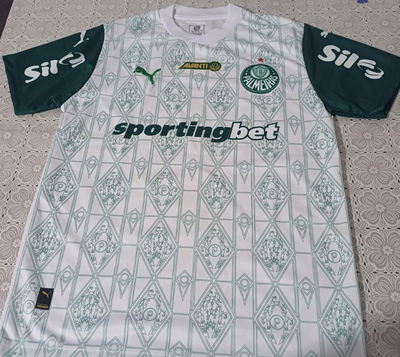 Camiseta Palmeiras 2024/2025 x curva 