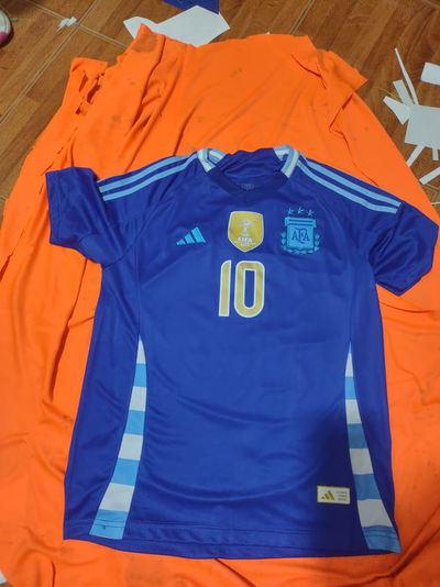 Camiseta Argentina suplente 2024/25 x curva
