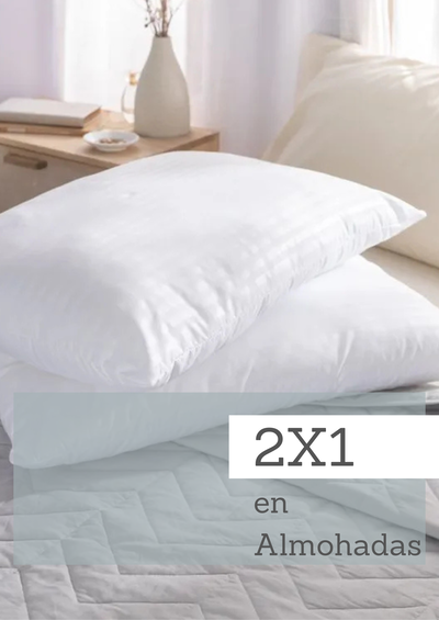ALMOHADAS 2X1