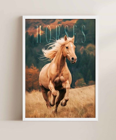 WILD HORSES - P1486420