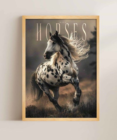 WILD HORSES - P1486408