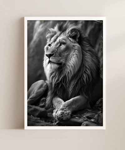 LEONES-P1266854