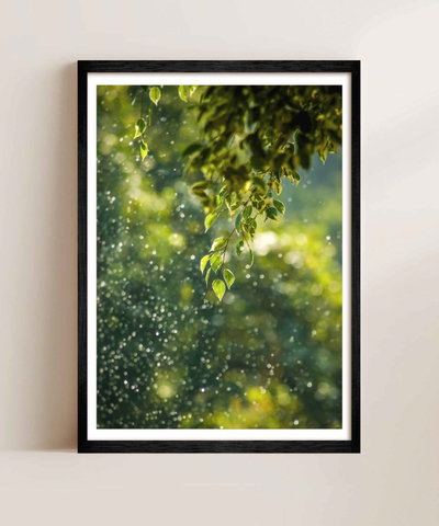 Gotas de Lluvia