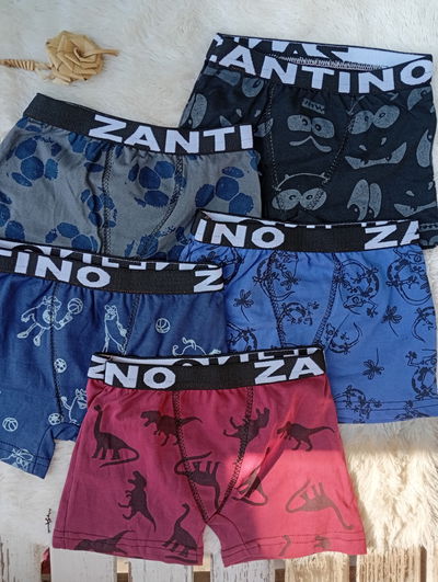 Boxers niños Zantino estampado 