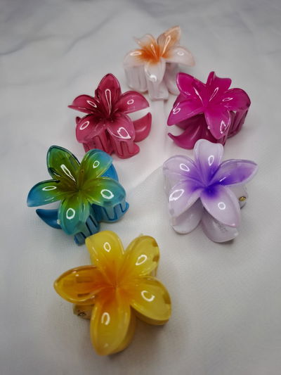 Hawaianas minis 