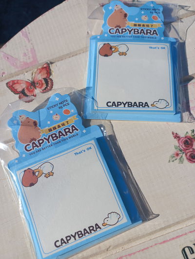 Post tips capibara grandes