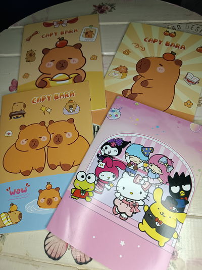 Cuaderno de capibara y sanrio