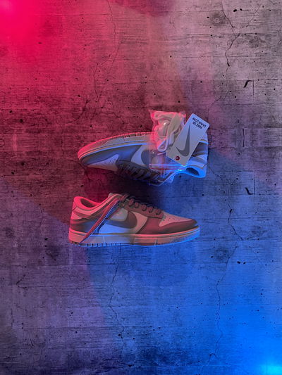 Nike SB Dunk low Gris