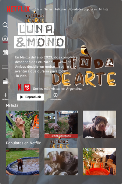Plantilla Cuadro Netflix 🎬