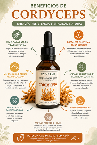 CORDYCEPS MILITARIS 