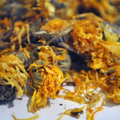 CALENDULA