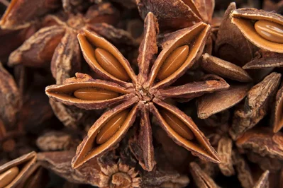 ANÍS ESTRELLADO 30 GRAMOS 