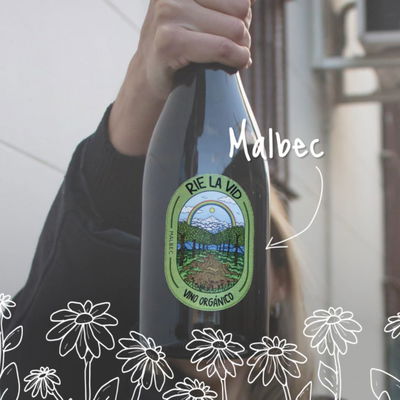 RIE LA VIDA MALBEC 