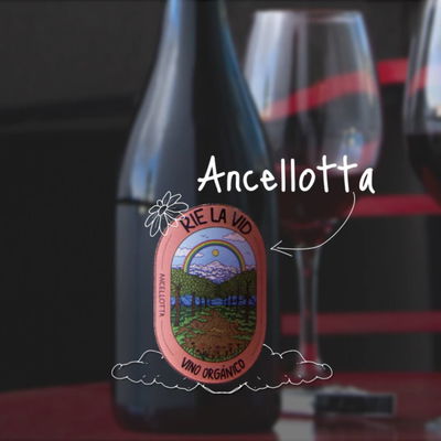 RIE LA VIDA ANCELLOTA