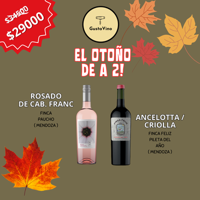 PROMO X2 "EL OTOÑO DE A 2"