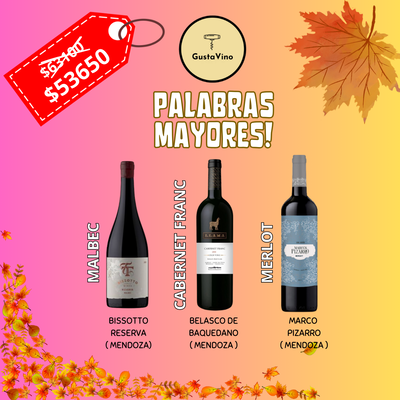 PROMO X3 "PALABRAS MAYORES"