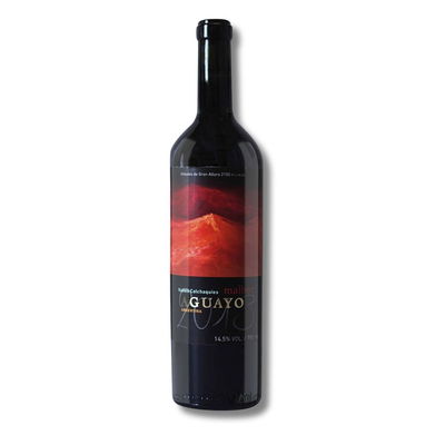 AGUAYO MALBEC 2017