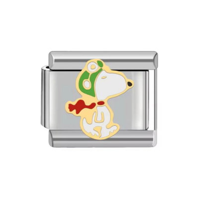 #550 Snoopy Fly