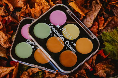 PALETA DE CORRECTORES