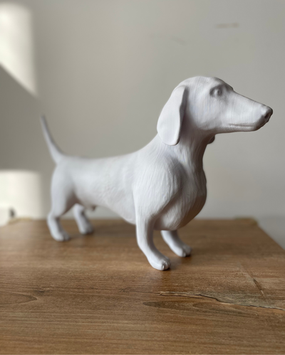 Perro Salchicha para pintar