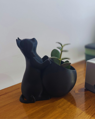 Maceta de Gato Decorativa