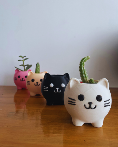 Maceta Gatito