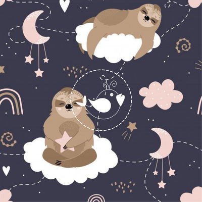 Perezoso en las nubes  027