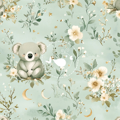 Koala 023