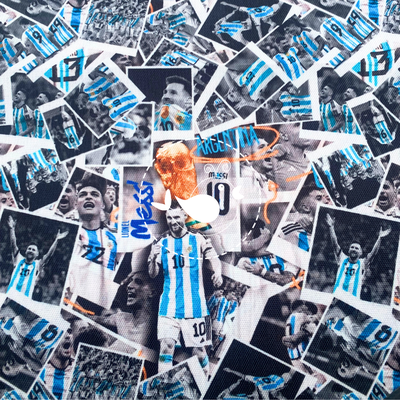 Argentina Campeón 010 