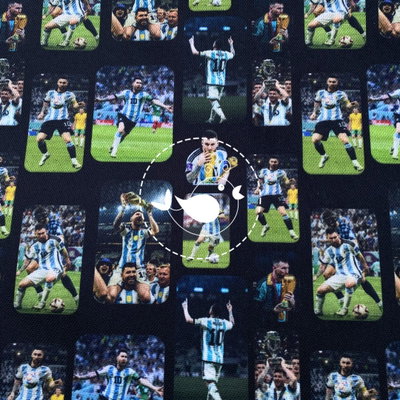 Messi campeón 004-PGT 358
