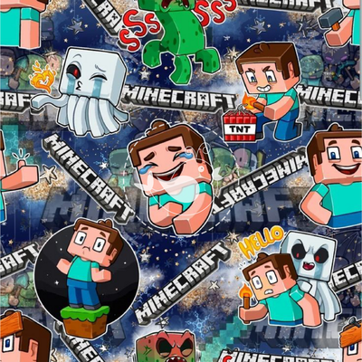 Minecraft 001