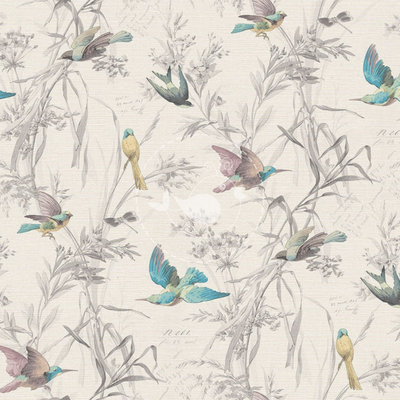 Pajaros 004