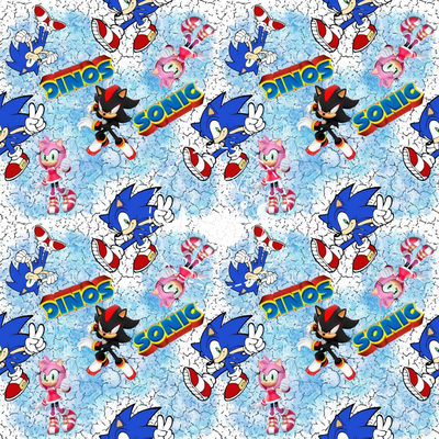Sonic 013