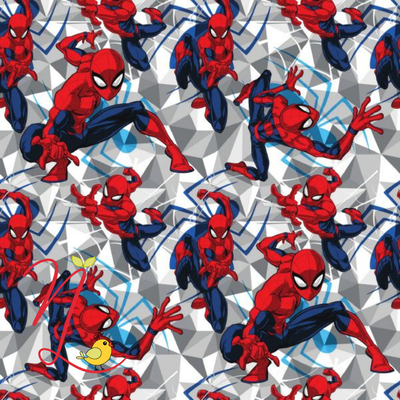 Hombre Araña 1133-PGT 027