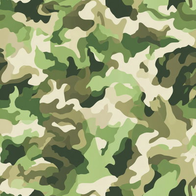 Camuflado 1481