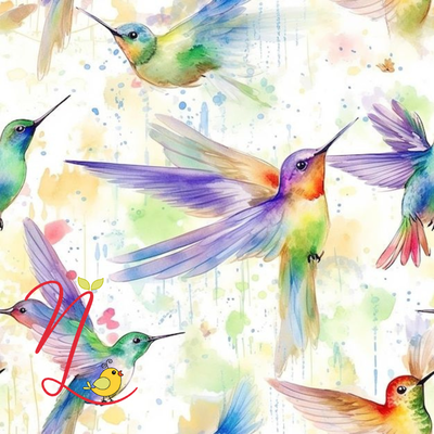Colibrí 570