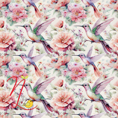 Colibrí 572