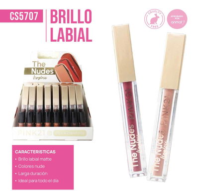 BRILLO LABIAL COLOR MARRON PINK21 CS5707