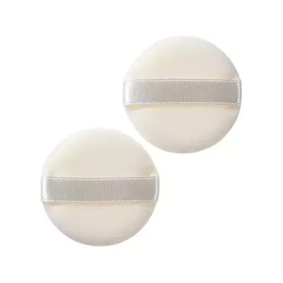ESPONJAS PARA POLVO SUELTO X2