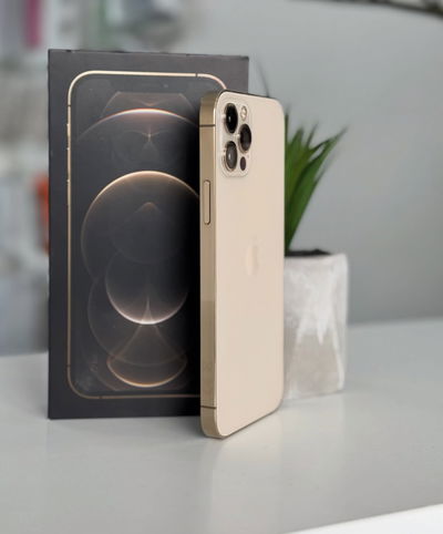 iPhone 12 Pro Max 