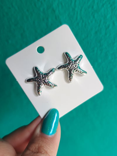 Estrella de Mar Plateada pequeña