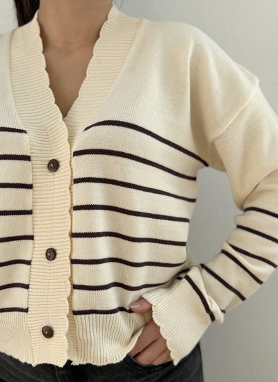Cardigan Morgan (Cinco)