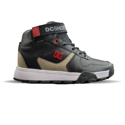Zapatillas DC SHOES Pensford WNT