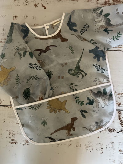 Pintorcito Dinos 
