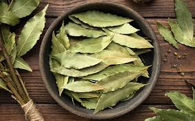 Laurel 5gr