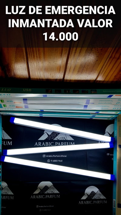 LUZ DE EMERGENCIA INMANTADA